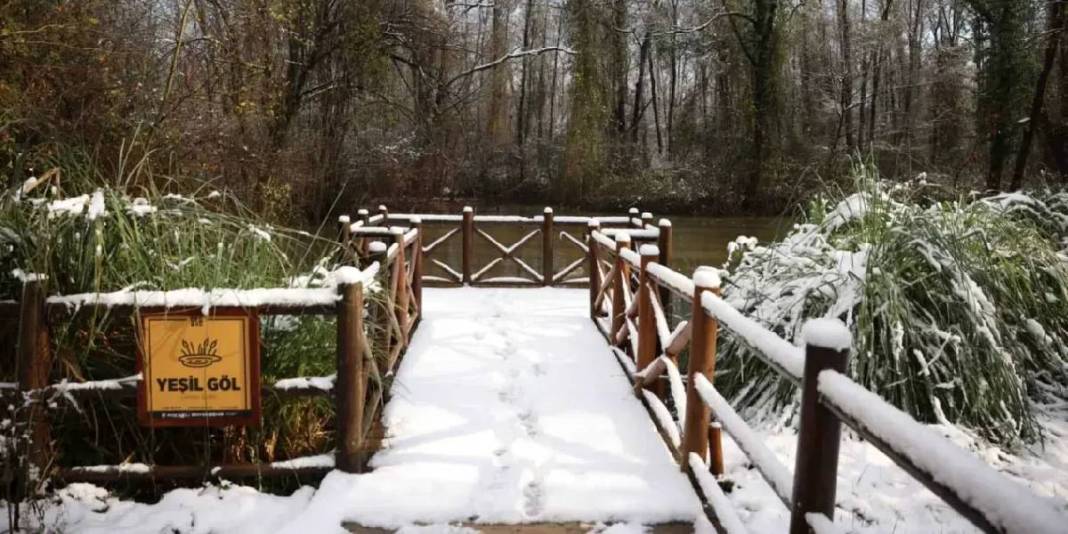 Avrupa’nın en büyüğü Türkiye’de! Kocaeli’nin Ormanya’sı beyaza büründü, duru haliyle ziyaretçilerini ağırlıyor 2